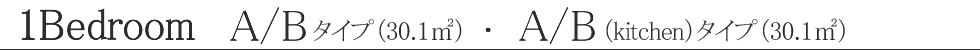お部屋タイプのご案内　A/Bタイプ　1Bedroom