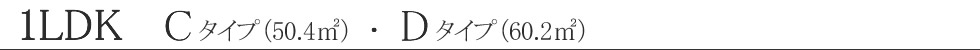 お部屋タイプのご案内 Cタイプ 1LDK